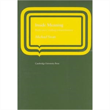 Inside Meaning