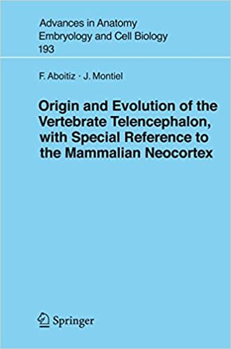 کتاب زبان اوریجین اند د اولوشن  Origin and Evolution of the Vertebrate Telencephalon, with Special Reference to the Mammalian Ne