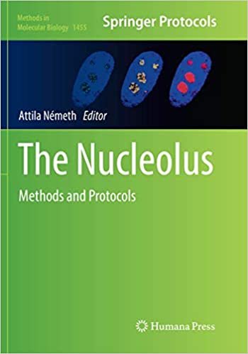 کتاب زبان د نوکلئوس  The Nucleolus : Methods and Protocols