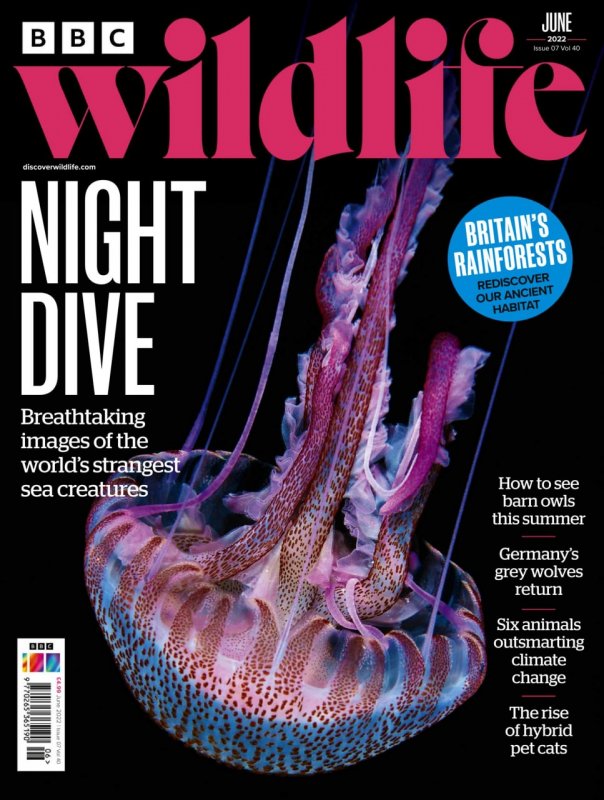 کتاب مجله انگلیسی بی بی سی وایلد لایف BBC Wildlife - June 2022