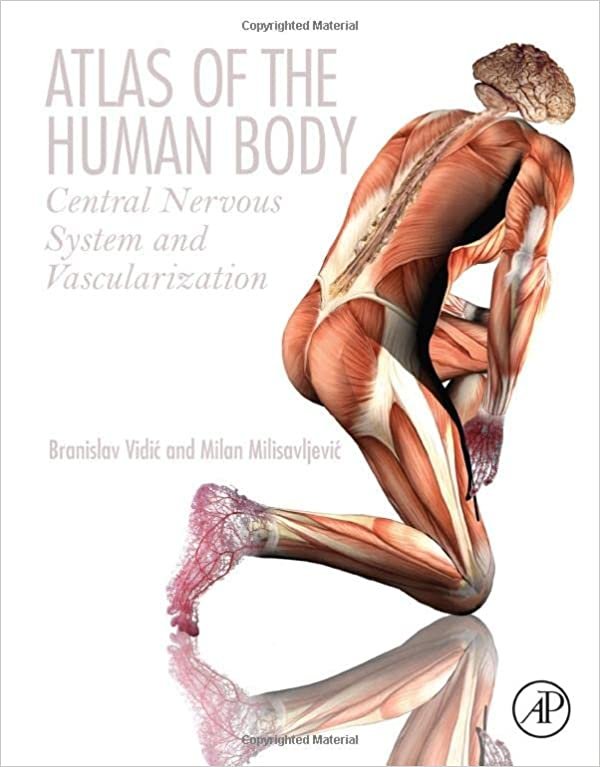کتاب اطلس آف هیومن بادی Atlas of the Human Body: Central Nervous System and Vascularization 1st Edition2017