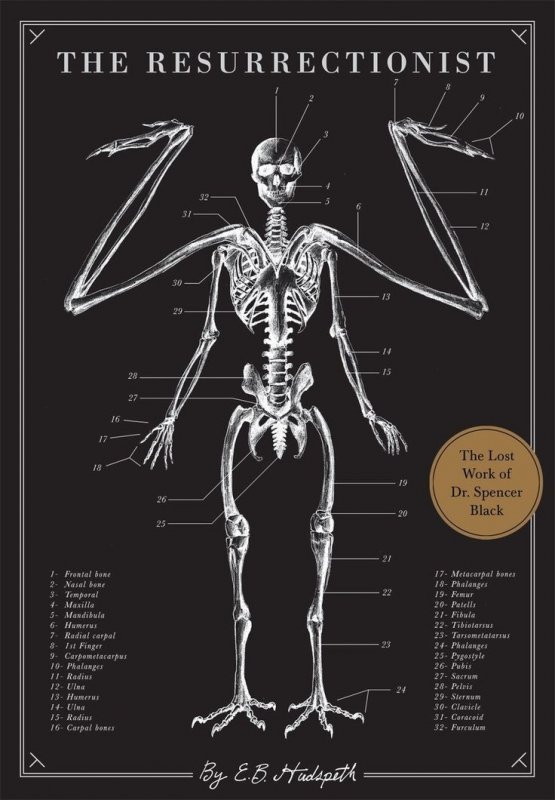 کتاب انگلیسی رستاخیز  The Resurrectionist