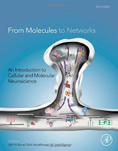 کتاب انگلیسی فرام مولکولز تو نت ورکس From Molecules to Networks, Third Edition: An Introduction to Cellular and Molecular Neuros