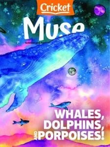 کتاب مجله انگلیسی کریکت میوز Muse - February 2022
