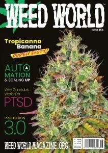 کتاب مجله انگلیسی وید ورد  Weed World - Issue 156, February 2022