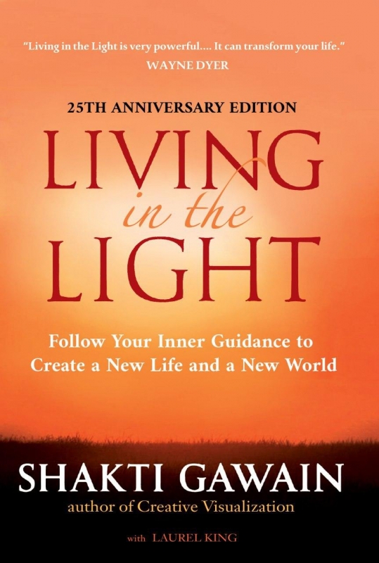 کتاب رمان انگلیسی زندگی کردن در نور  Living in the light