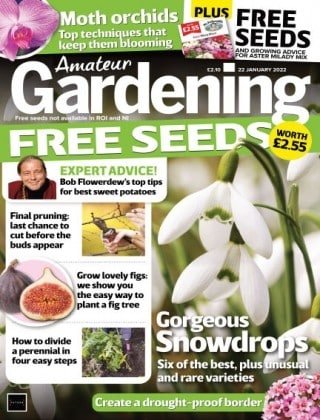 کتاب مجله انگلیسی آماتور گاردنینگ  Amateur Gardening - 22 January 2022