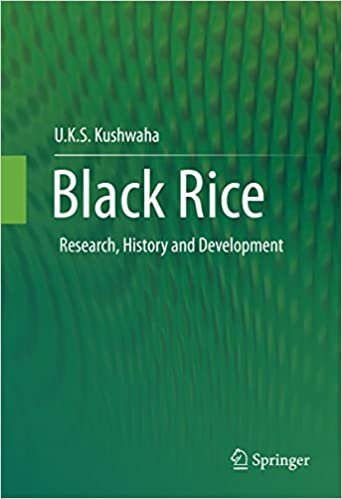 کتاب زبان بلک رایس Black Rice : Research, History and Development