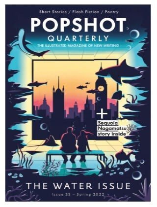 کتاب مجله انگلیسی پاپ شات مگزین  Popshot Magazine - Issue 35, Spring 2022