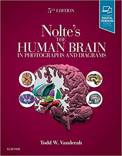 کتاب نولتز د هیومن برین این فتوگرفز اند دیاگرامز  Nolte’s The Human Brain in Photographs and Diagrams, 5th Edition2019