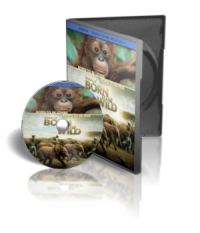 مستند تولد در حيات وحش