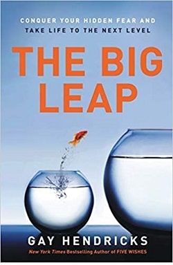 کتاب رمان انگلیسی پرواز تا اوج  The Big Leap