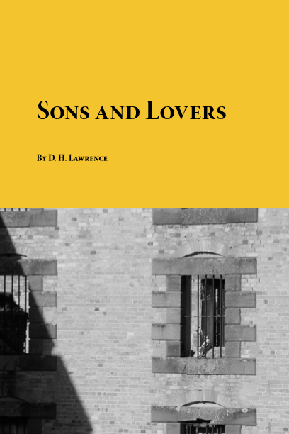 کتاب رمان انگلیسی پسران و عاشقان اثر دی اچ لارنس Sons and Lovers by D H Lawrence