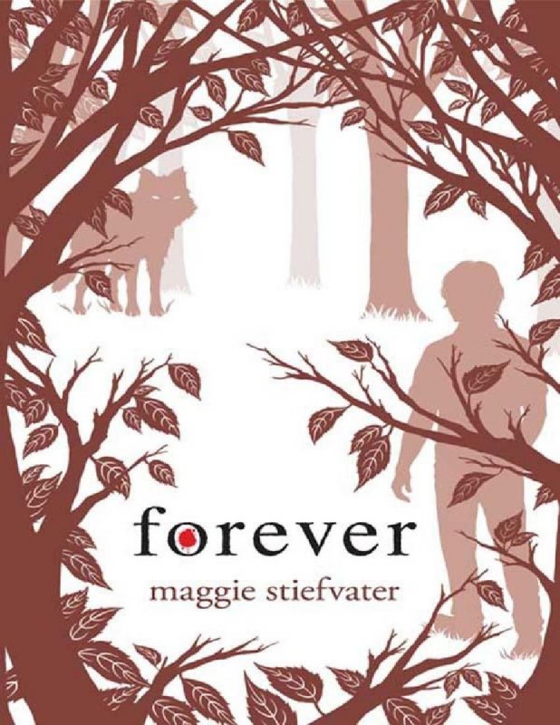 کتاب رمان انگلیسی برای همیشه Forever